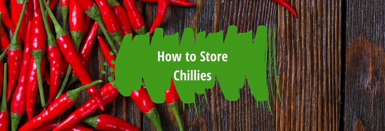 how to store chillies