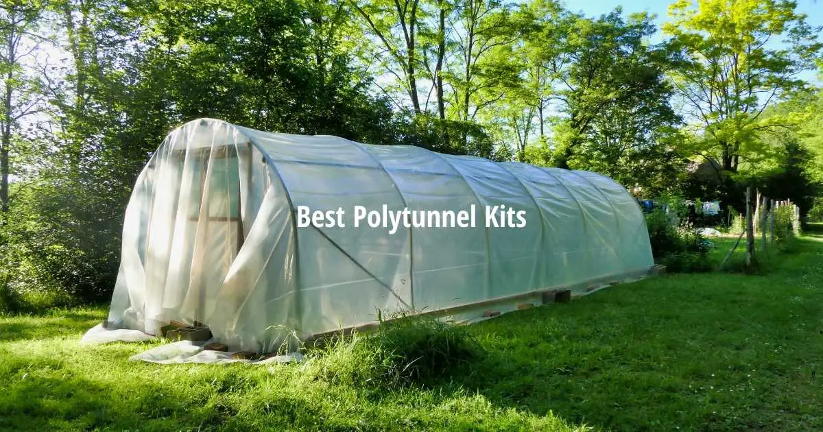 The Best Polytunnel Kits, Materials & Prices