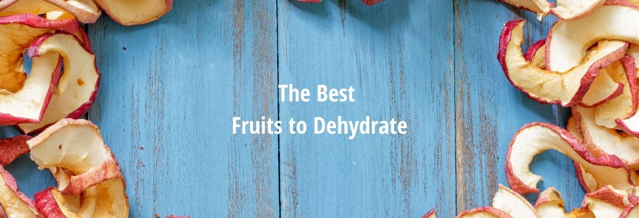 Best fruits to dehydrate fi