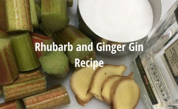Homemade rhubarb and ginger gin