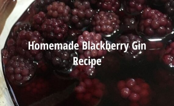 homemade blackberry gin