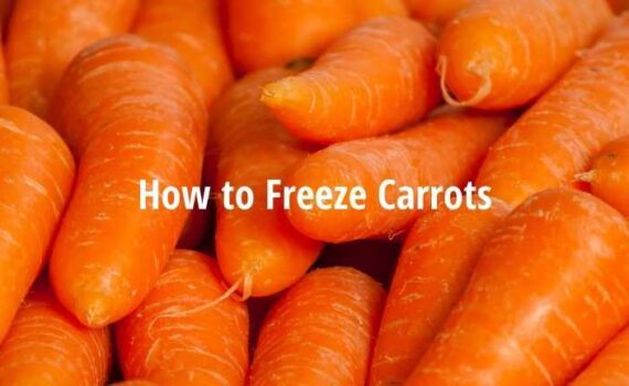 freeze carrots