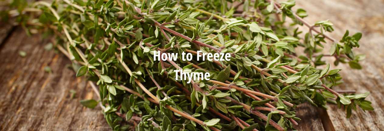How to Freeze Thyme Storing & Freezing Thyme
