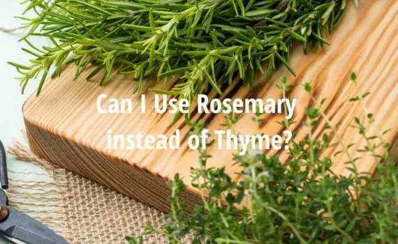 Can I use Rosemary instead of Thyme