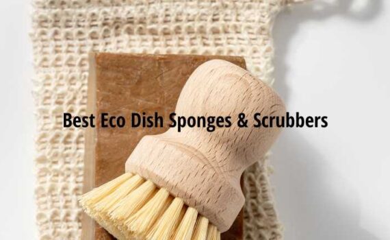 Best Eco Dish Sponges and Scrubbers