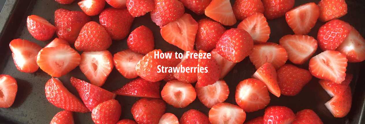 How Freeze Strawberries