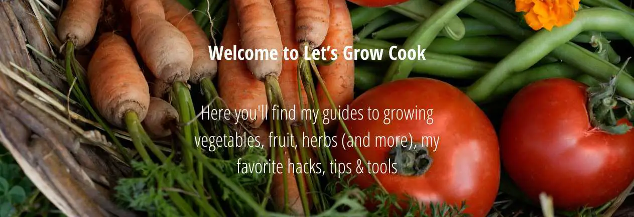 Start Here Lets Grow Cook