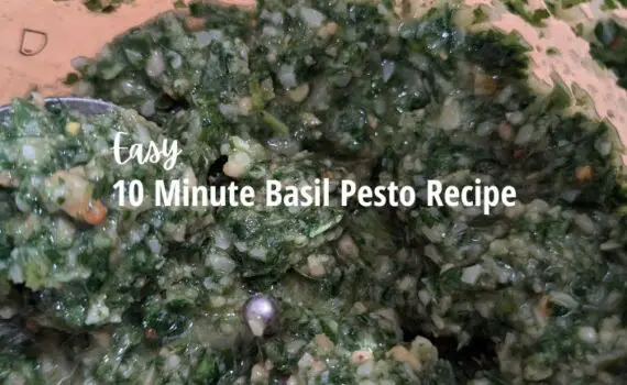 Easy Basil Pesto Recipe