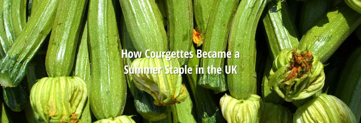 Courgette Summer Staple